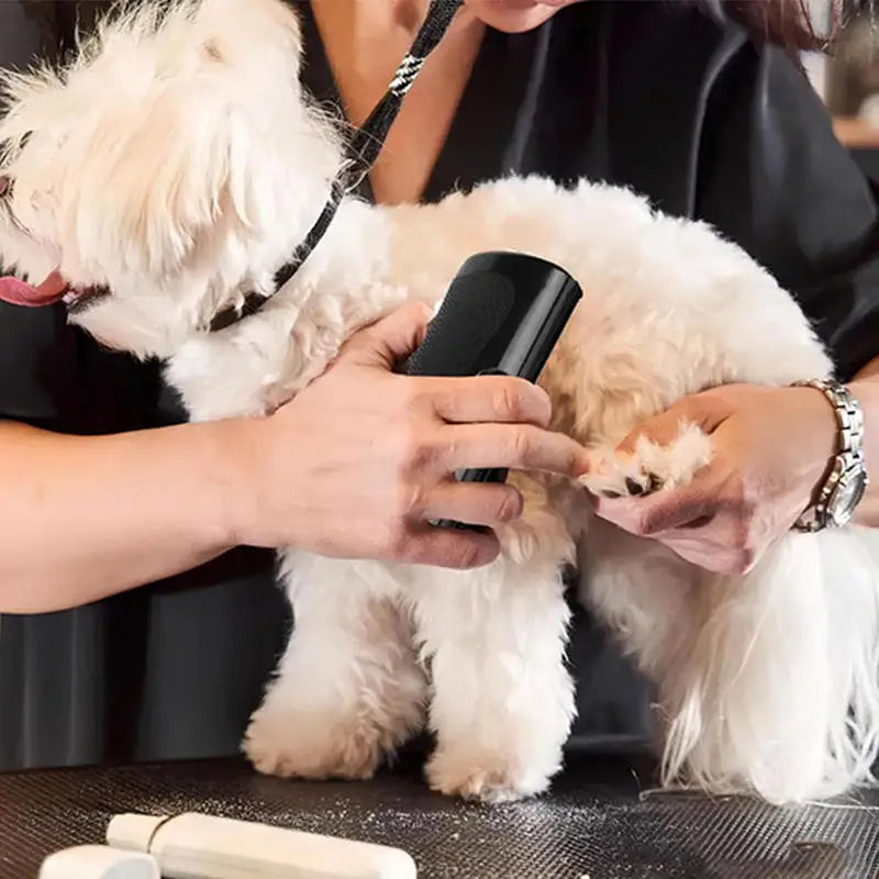 Professional Deshedding Brush for Dogs & Cats