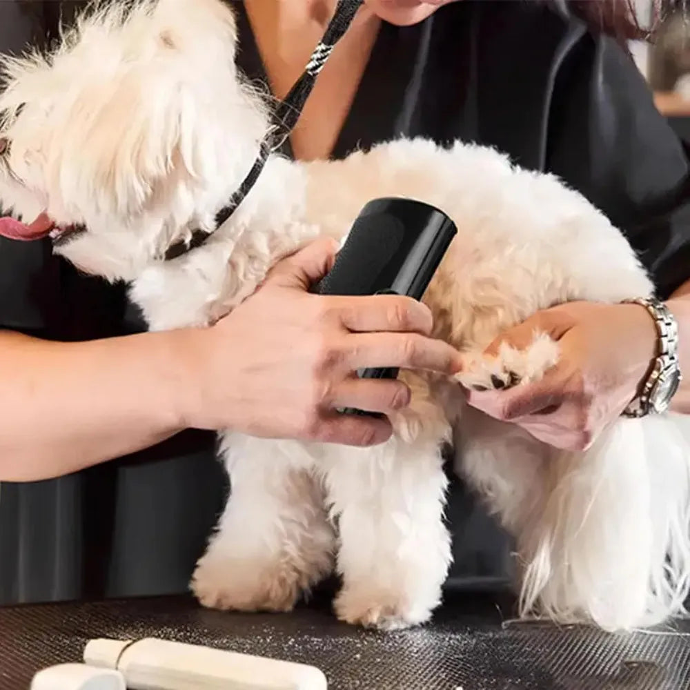 Professional Deshedding Brush for Dogs & Cats