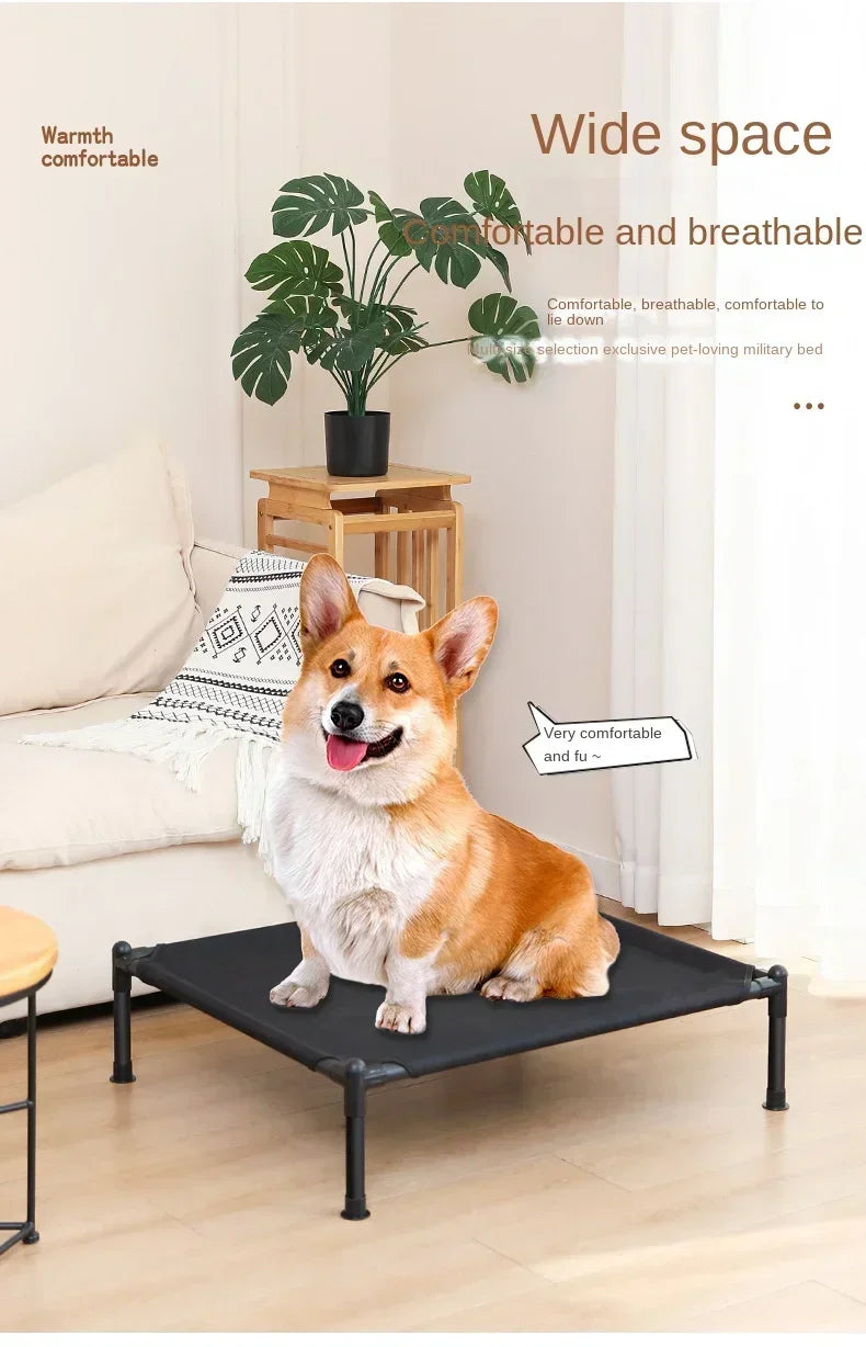 Elevated Portable Pet Bed — Foldable & Washable