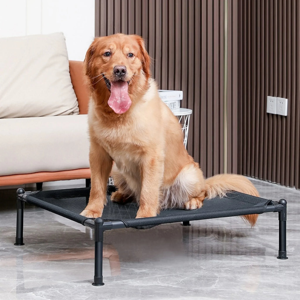 Elevated Portable Pet Bed — Foldable & Washable
