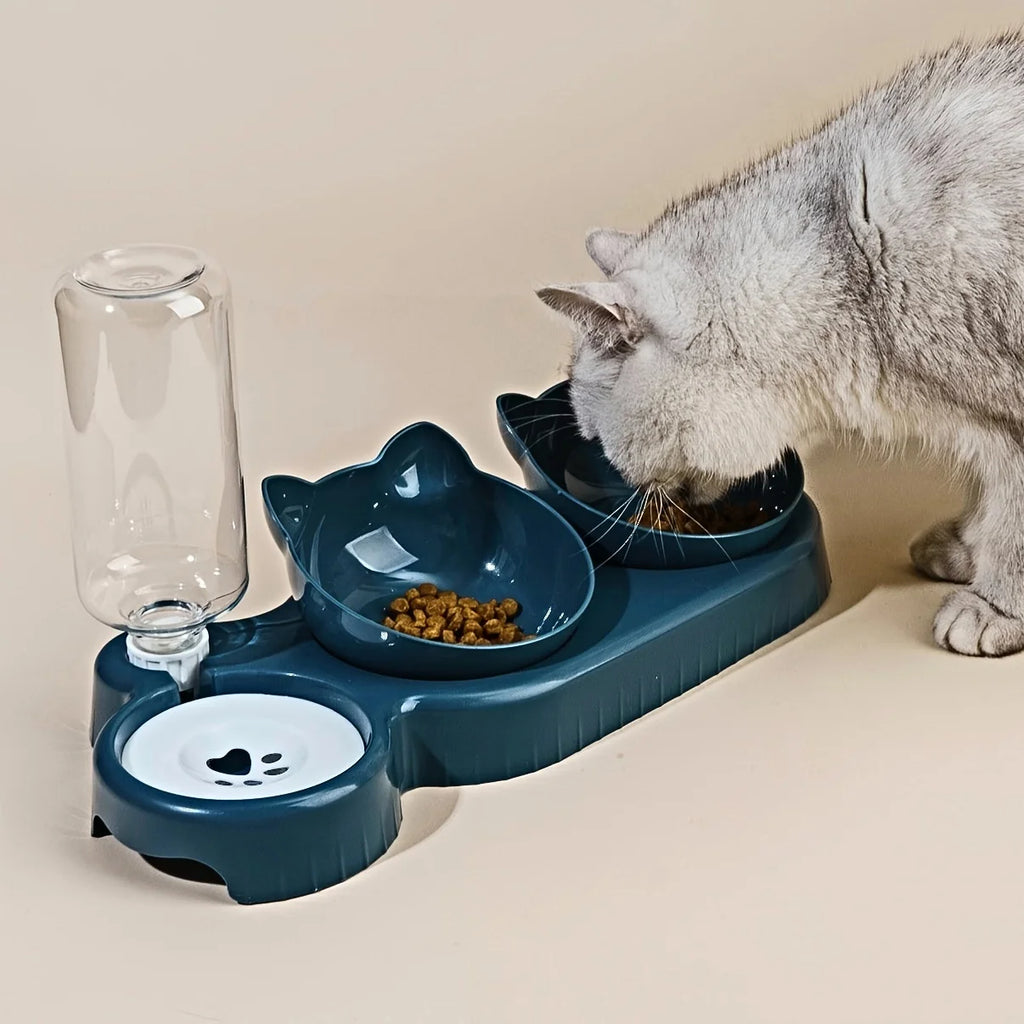 Tilted Pet Bowl Set with Gravity Water Feeder