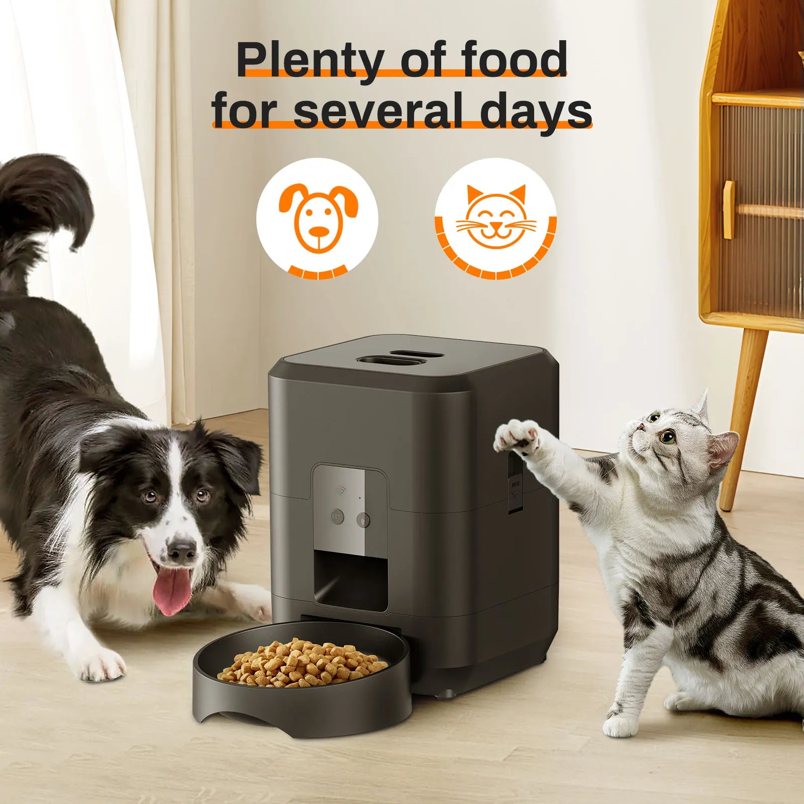 Automatic Cat & Dog Feeder — Timed Portion Control
