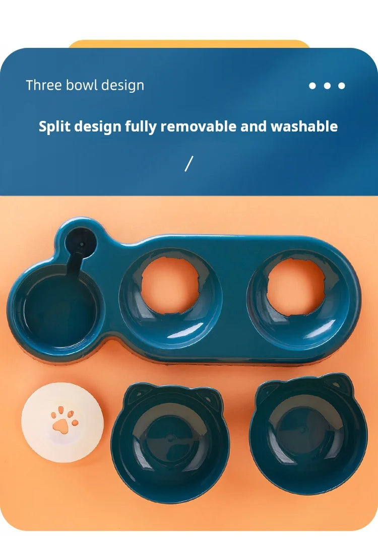 Tilted Pet Bowl Set with Gravity Water Feeder