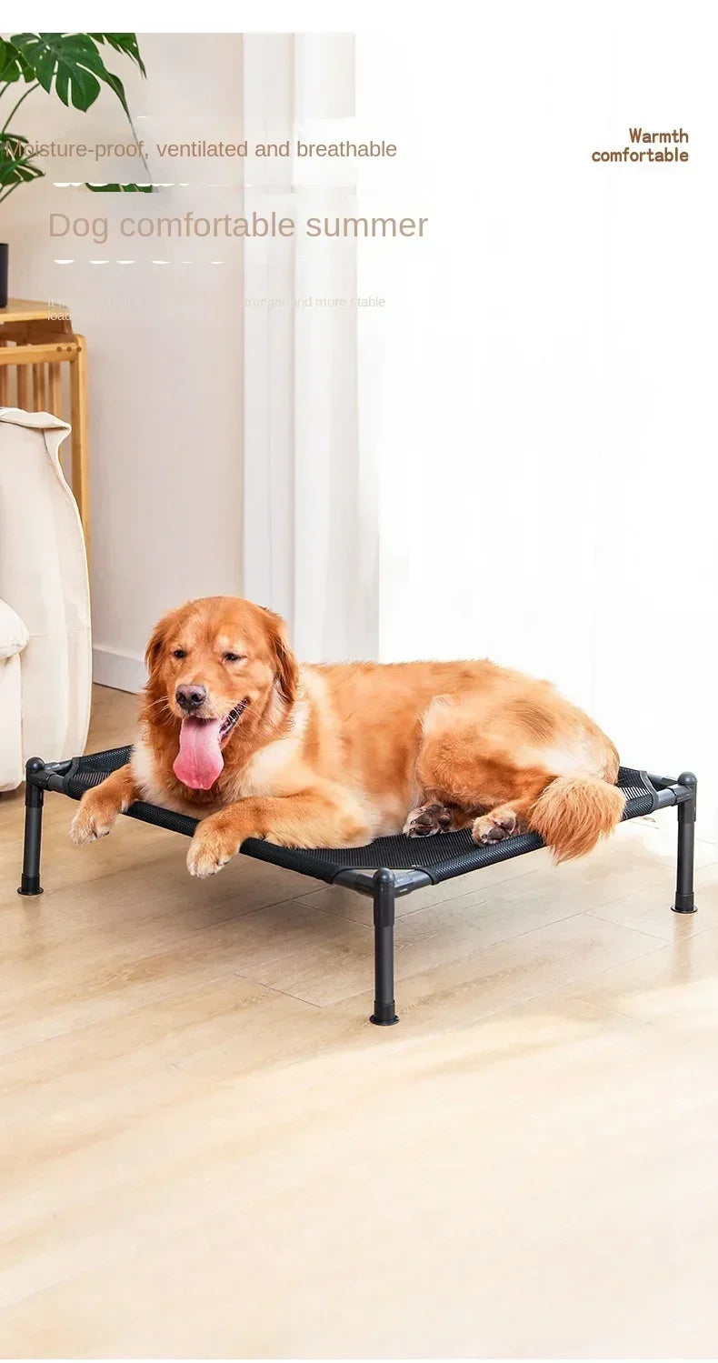 Elevated Portable Pet Bed — Foldable & Washable