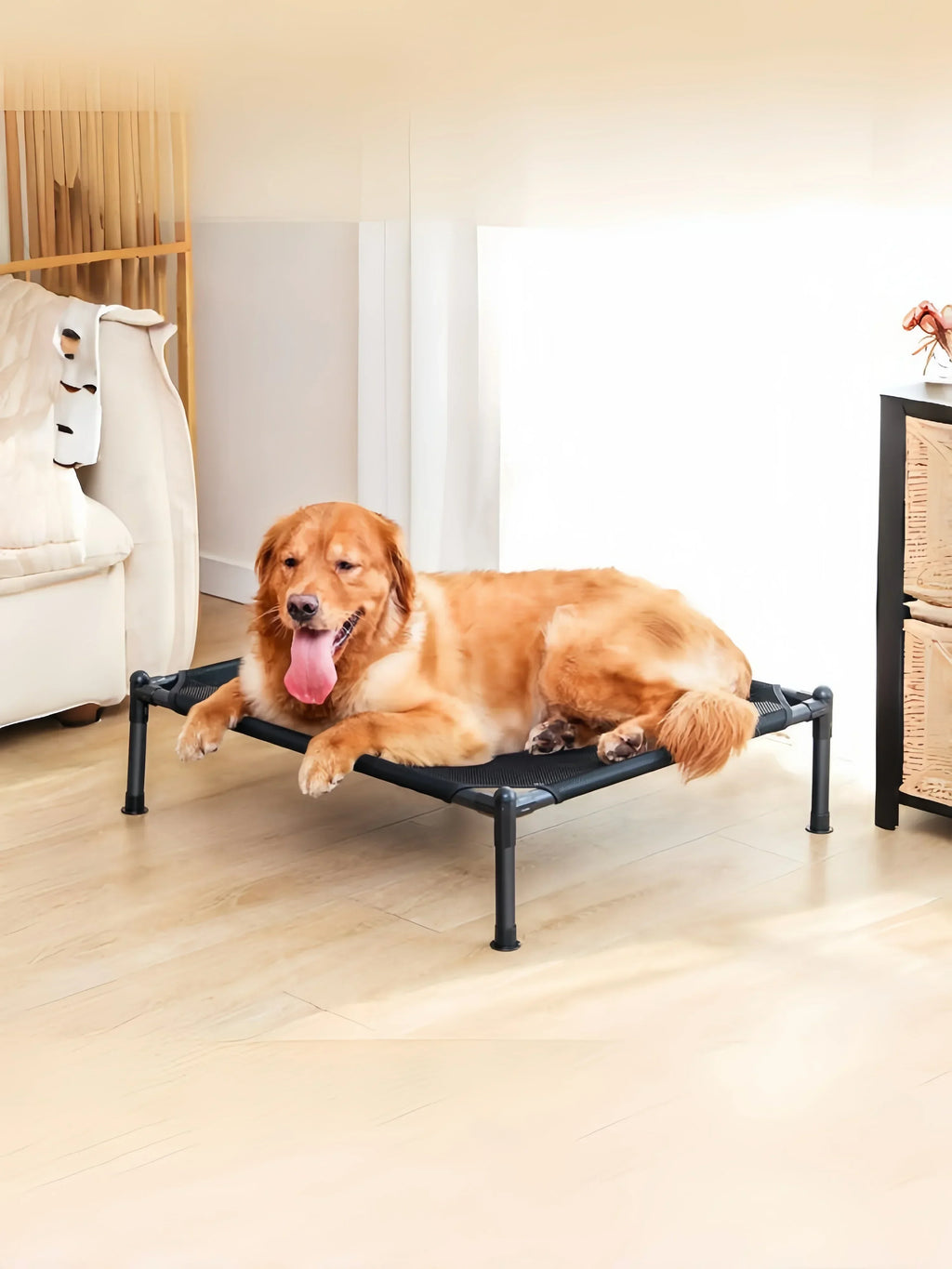 Elevated Portable Pet Bed — Foldable & Washable