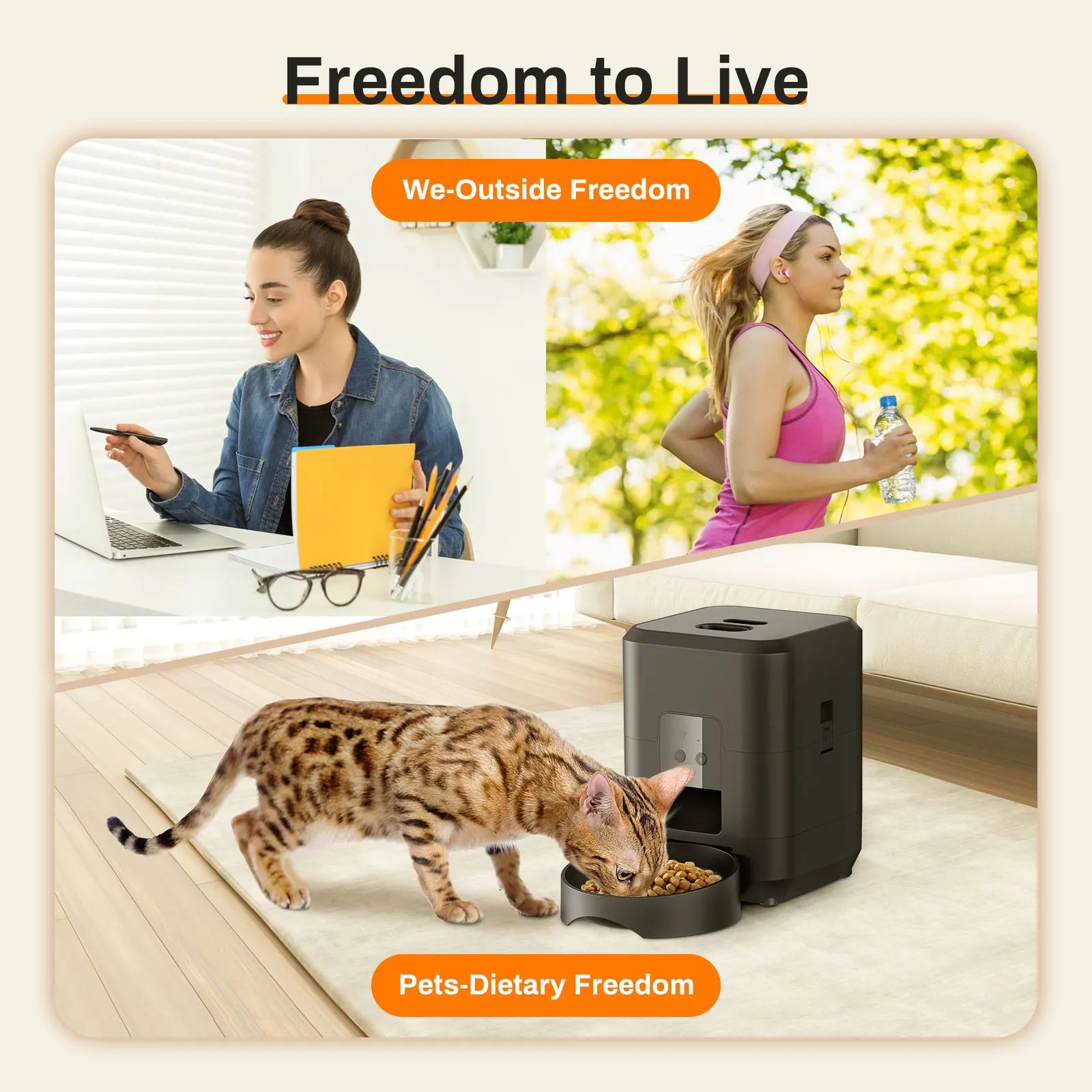 Automatic Cat & Dog Feeder — Timed Portion Control